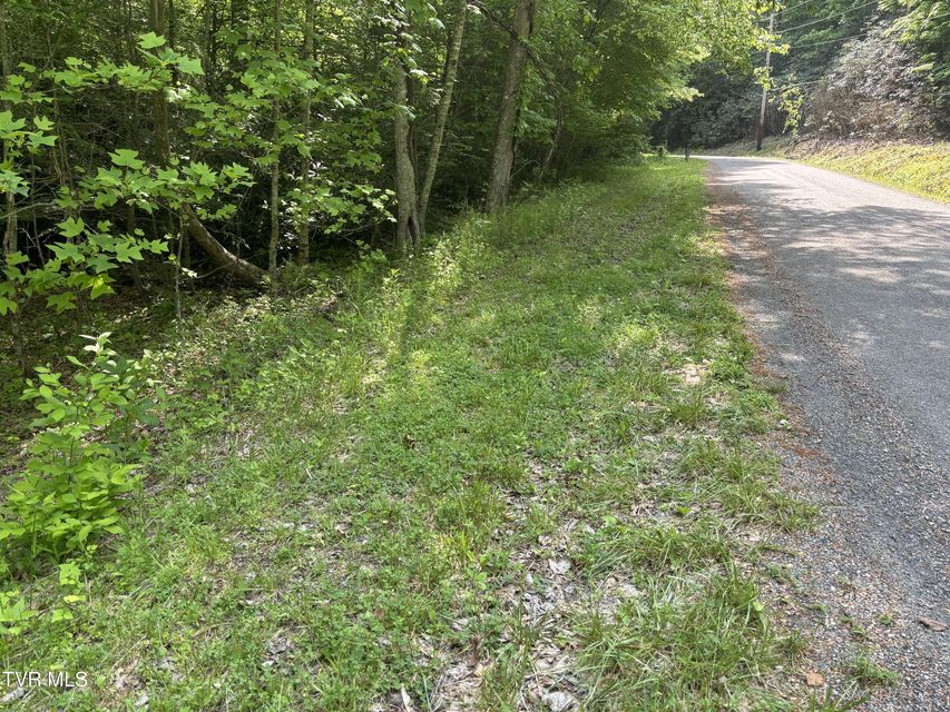 Photo #7: Lot 6b Of Roan Creek Road