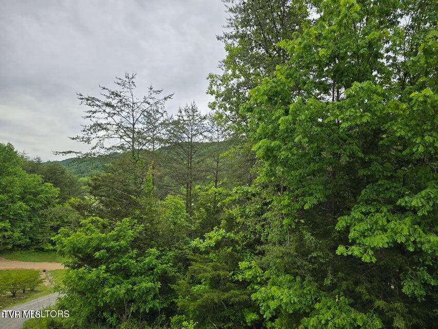 Photo #39: 1432 Upper Caney Valley Road