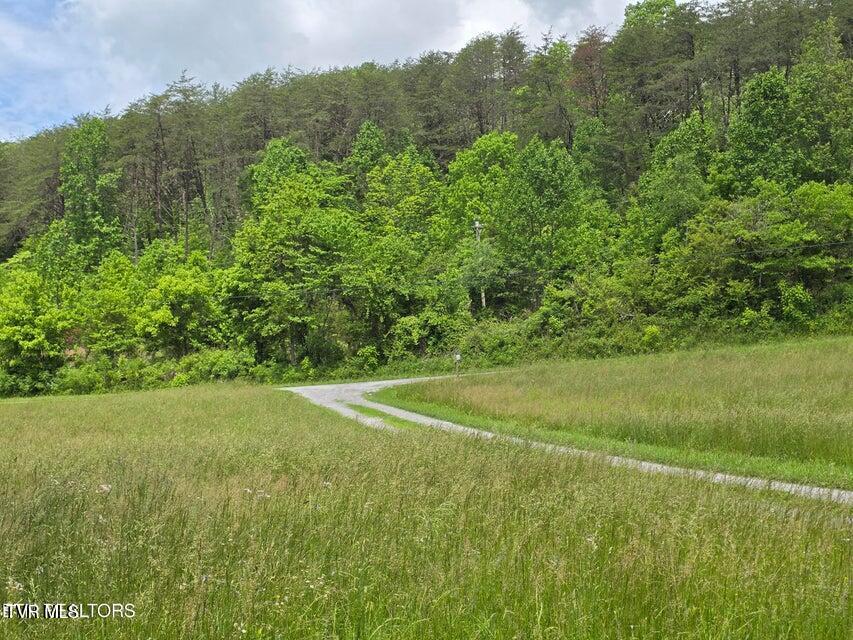 Photo #41: 1432 Upper Caney Valley Road