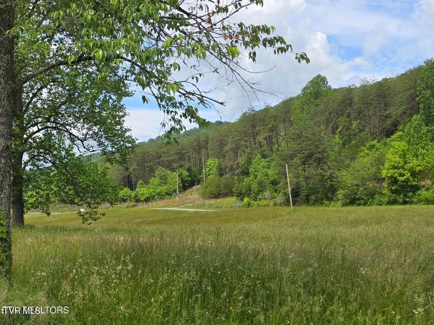 Photo #42: 1432 Upper Caney Valley Road
