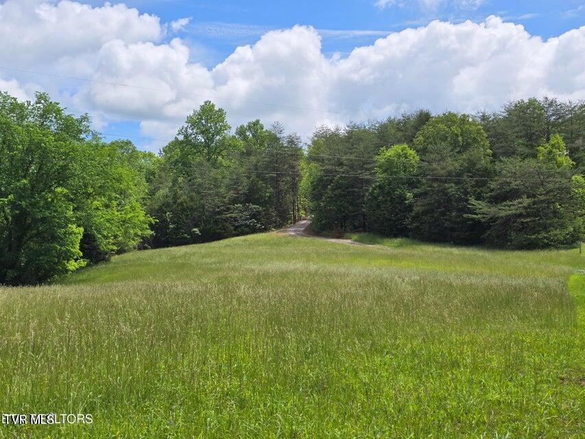 Photo #43: 1432 Upper Caney Valley Road
