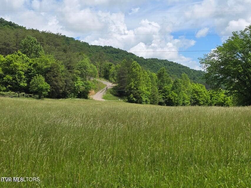 Photo #44: 1432 Upper Caney Valley Road