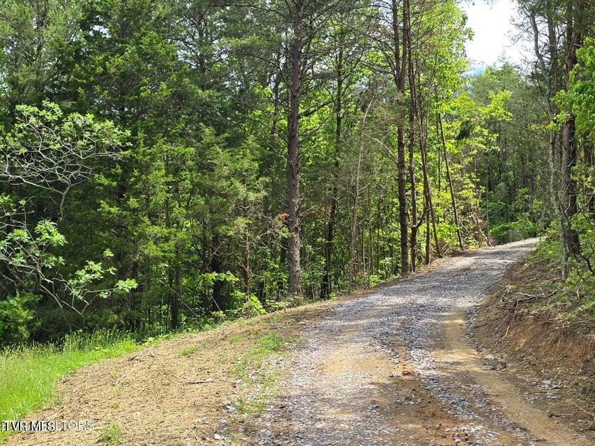 Photo #54: 1432 Upper Caney Valley Road