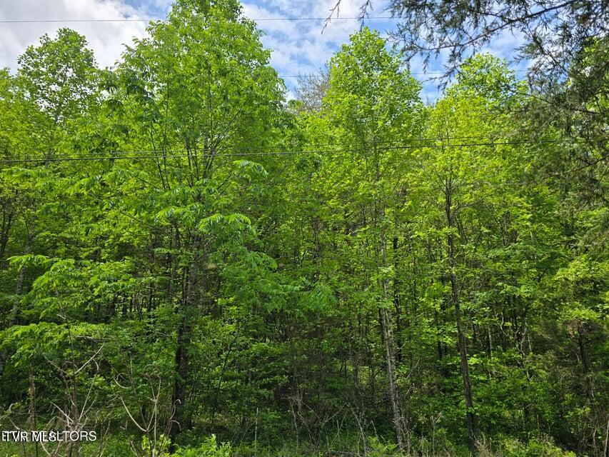 Photo #57: 1432 Upper Caney Valley Road