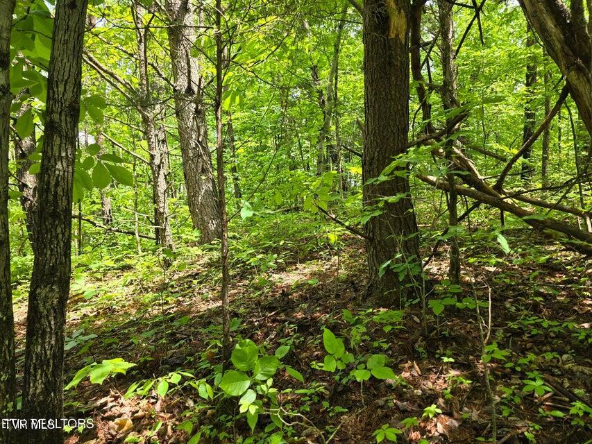 Photo #58: 1432 Upper Caney Valley Road