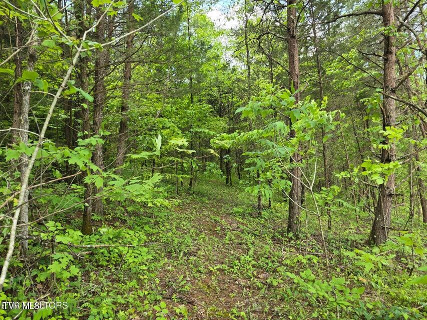 Photo #59: 1432 Upper Caney Valley Road