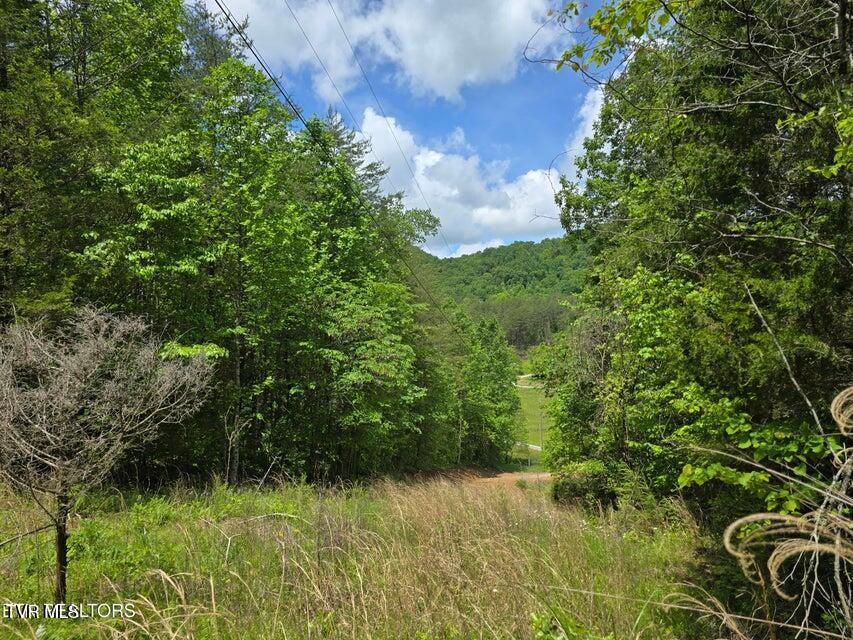 Photo #60: 1432 Upper Caney Valley Road