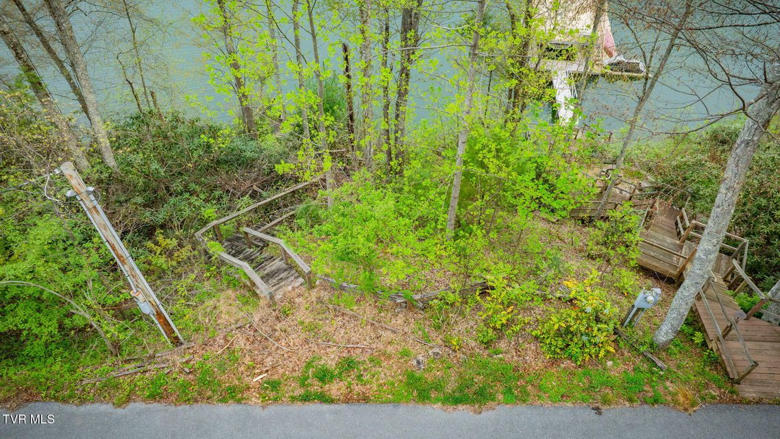 Photo #6: Tbd Cove Ridge Circle