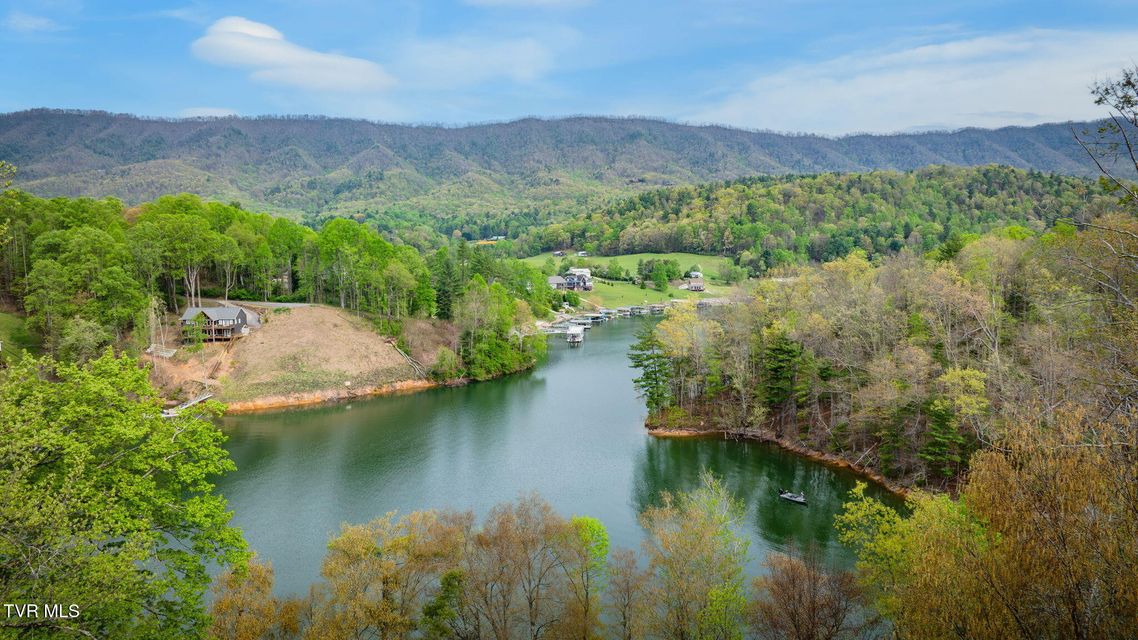 Photo #8: Tbd Cove Ridge Circle