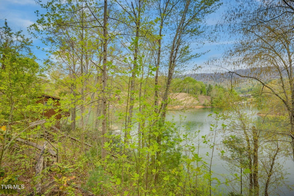 Photo #5: Tbd Cove Ridge Circle
