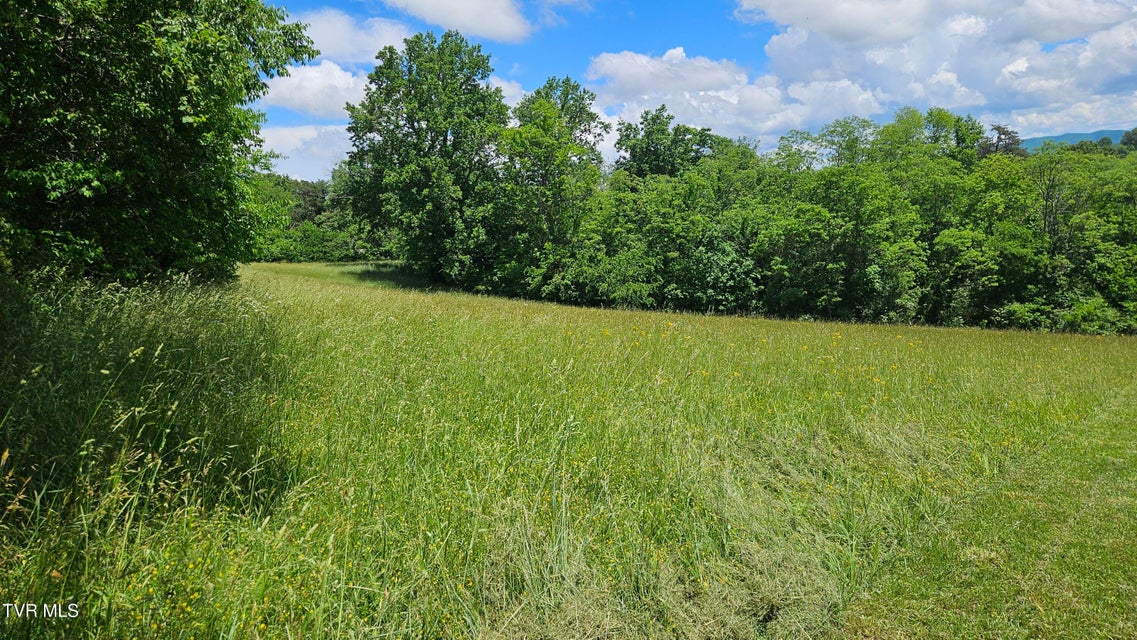 Photo #3: 328 Telford Road
