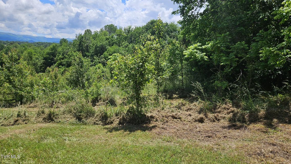 Photo #5: 328 Telford Road