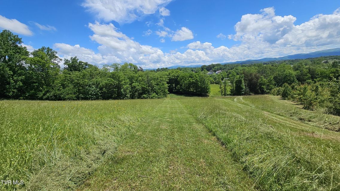 Photo #9: 328 Telford Road