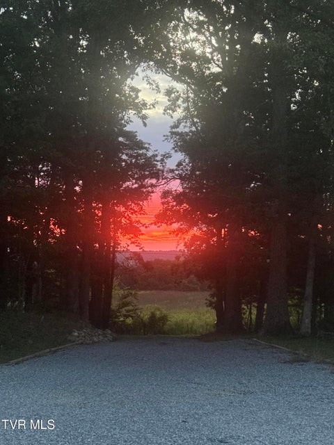 Photo #40: 100 Colyer Road