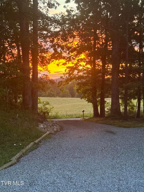 Photo #41: 100 Colyer Road