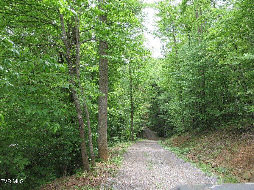 Photo #51: 181 Dream Trail