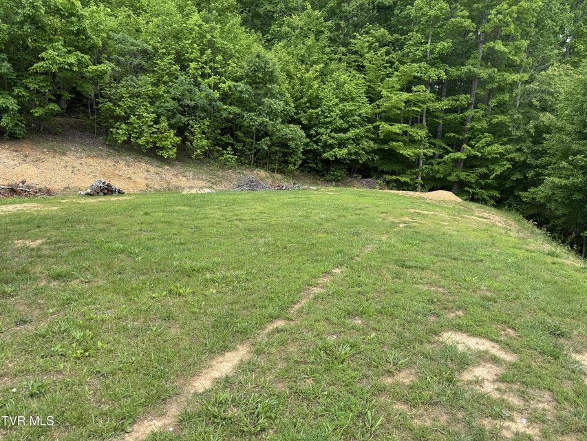 Photo #6: 181 Dream Trail