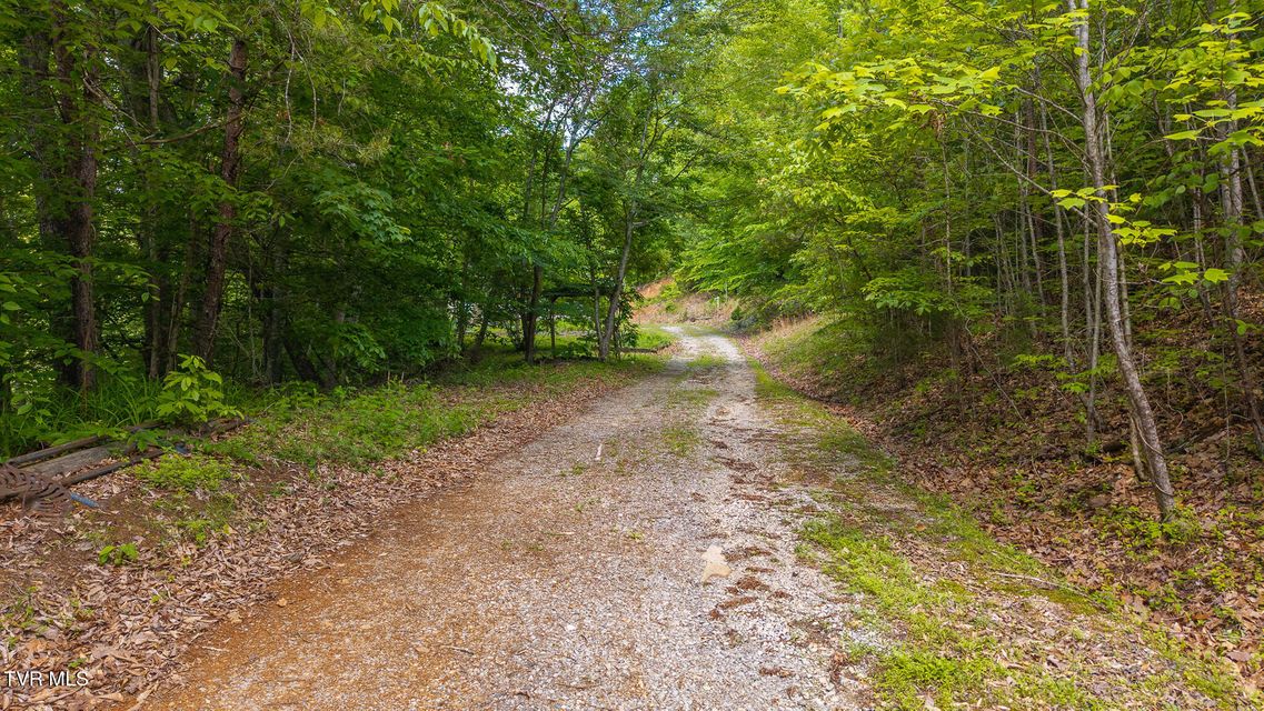 Photo #3: 632 Jacobs Hollow Road