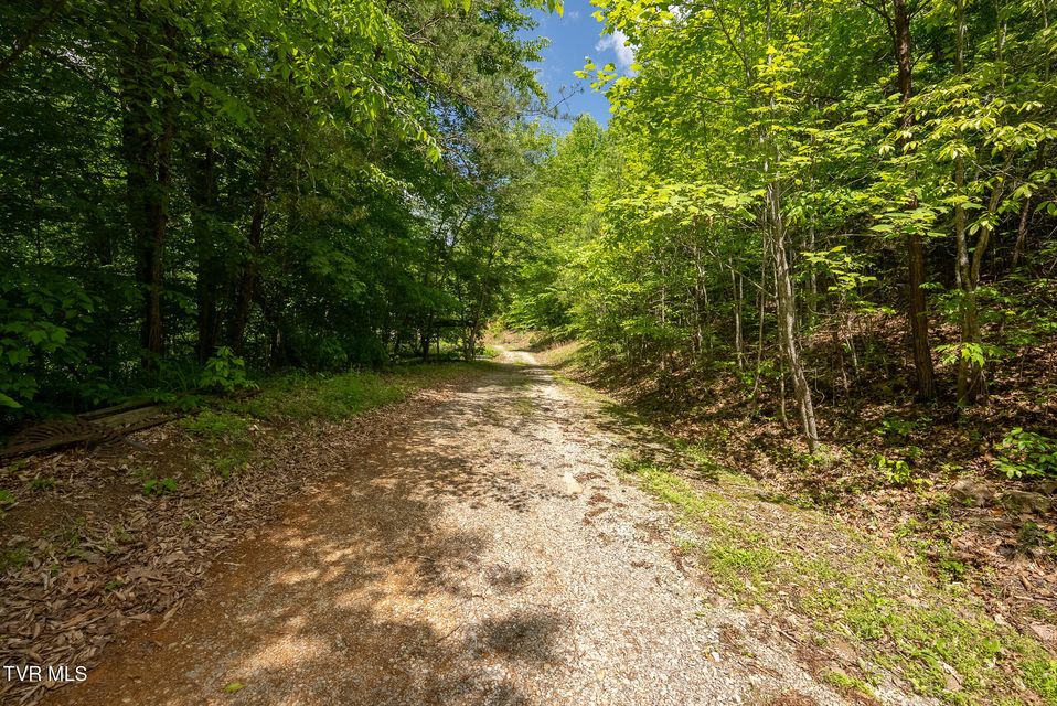 Photo #15: 632 Jacobs Hollow Road