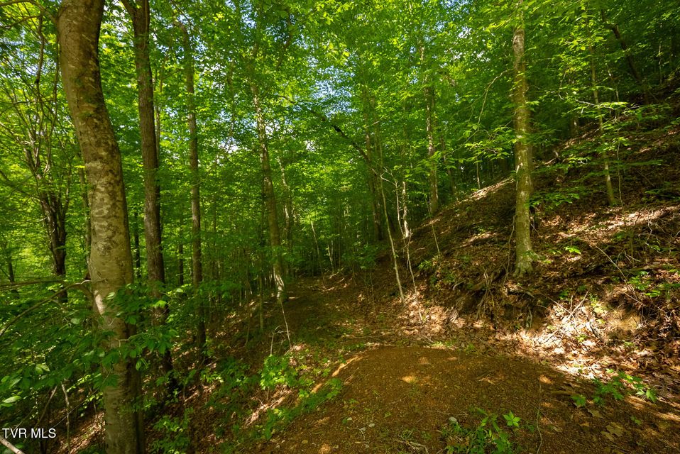 Photo #55: 632 Jacobs Hollow Road