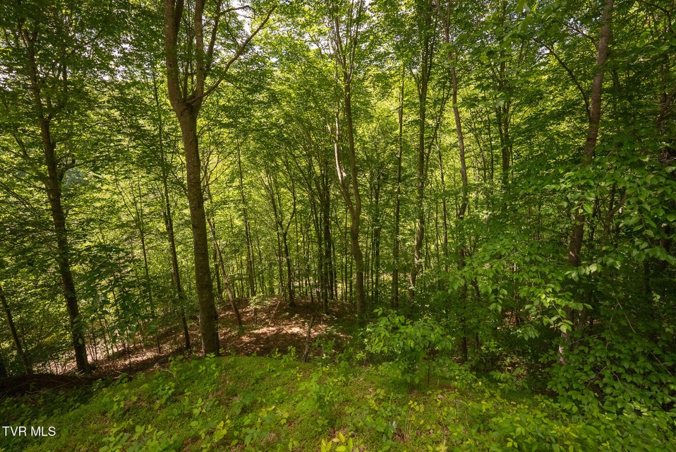 Photo #57: 632 Jacobs Hollow Road