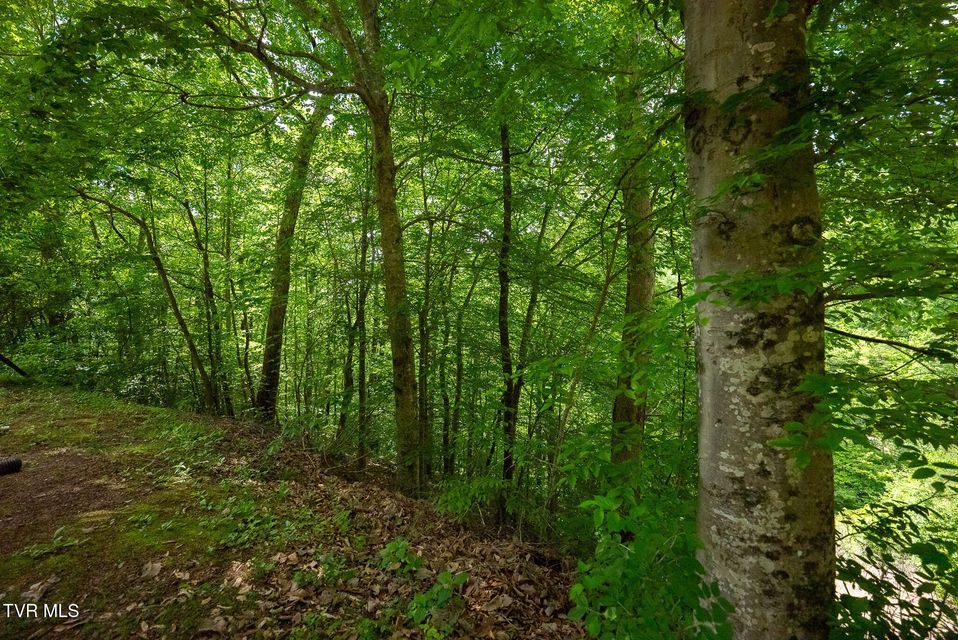 Photo #59: 632 Jacobs Hollow Road