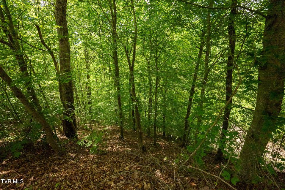 Photo #60: 632 Jacobs Hollow Road