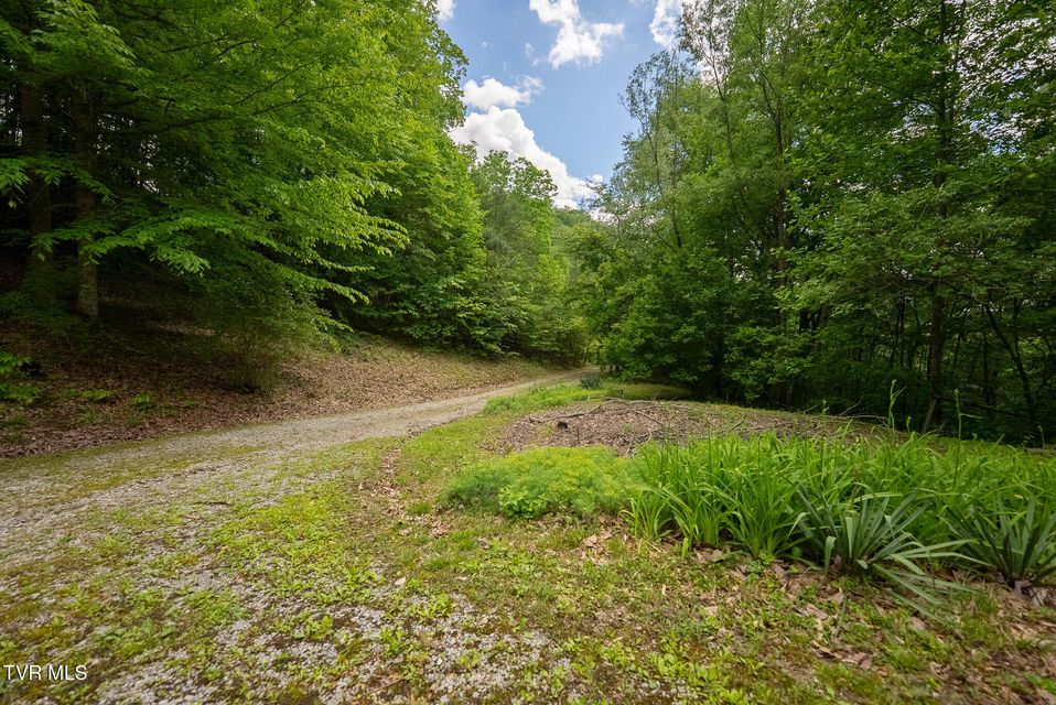 Photo #64: 632 Jacobs Hollow Road