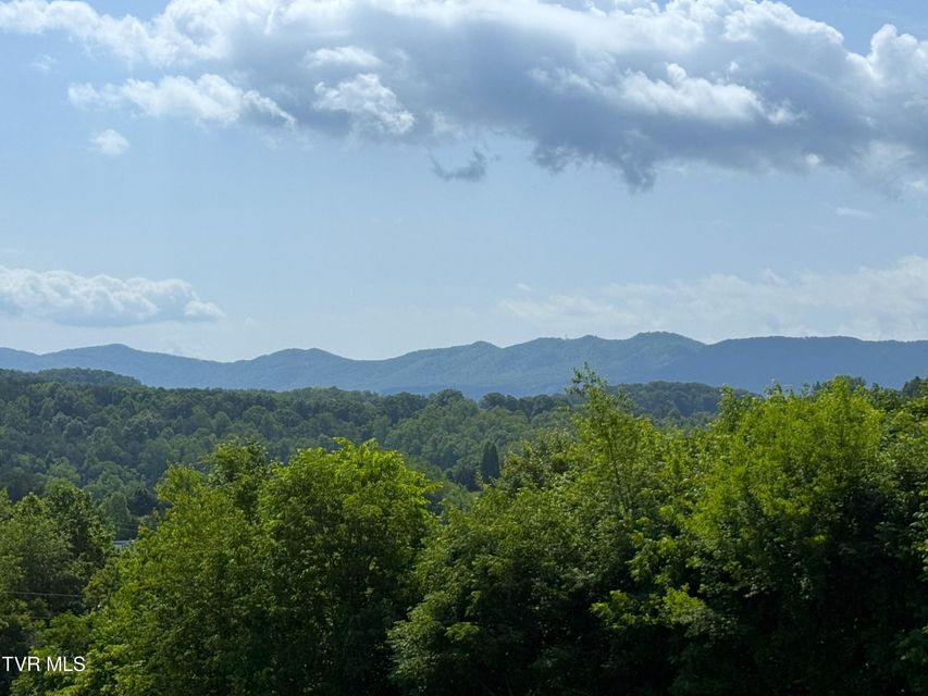 Photo #32: 1086 Highland Meadows Way