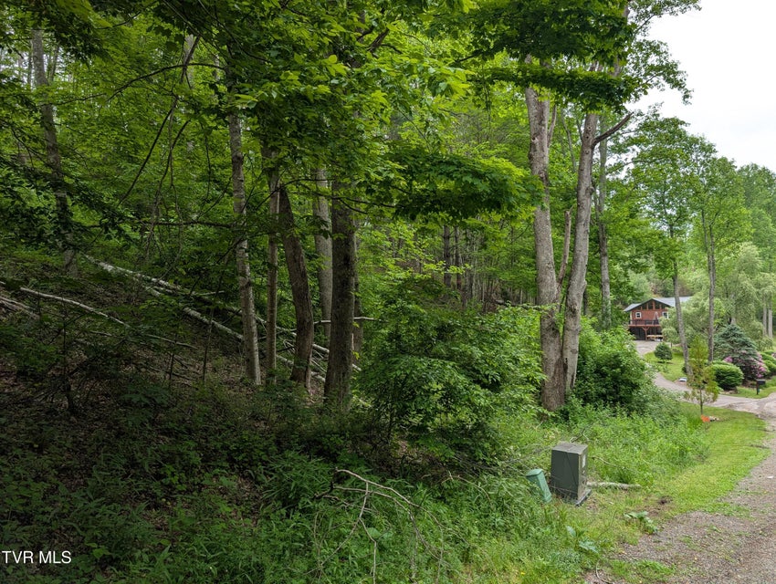 Photo #5: Tbd June Apple Lane