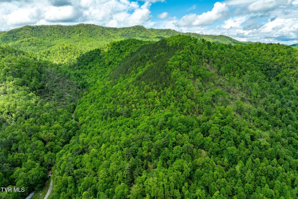 Photo #4: Tbd Fire Tower Road