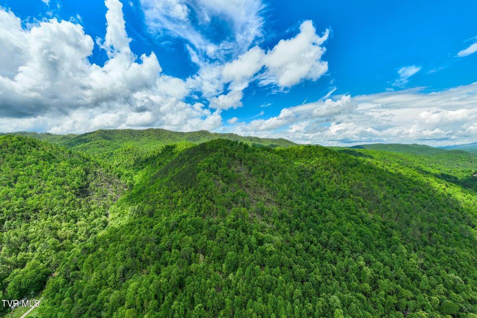 Photo #5: Tbd Fire Tower Road
