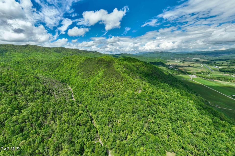 Photo #6: Tbd Fire Tower Road