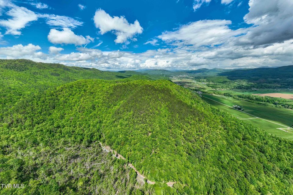 Photo #7: Tbd Fire Tower Road