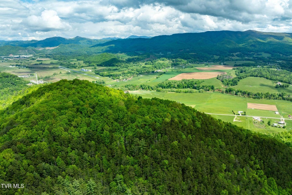 Photo #9: Tbd Fire Tower Road
