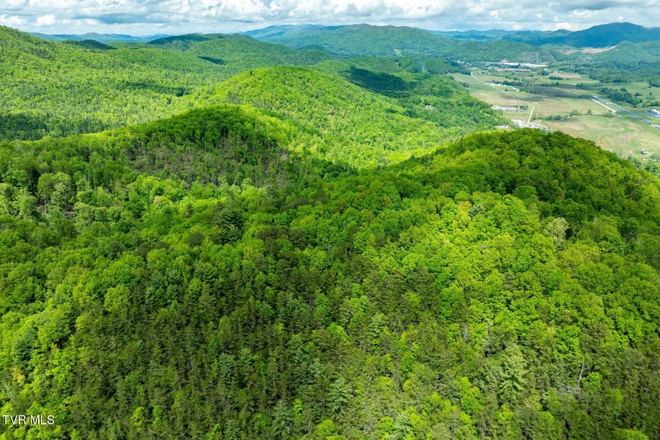Photo #11: Tbd Fire Tower Road
