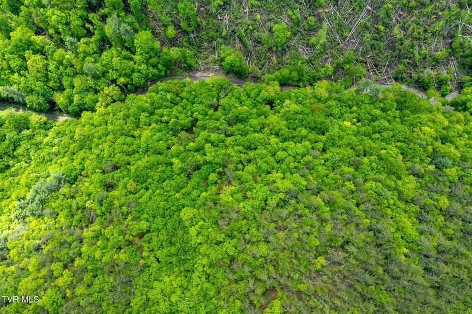 Photo #13: Tbd Fire Tower Road