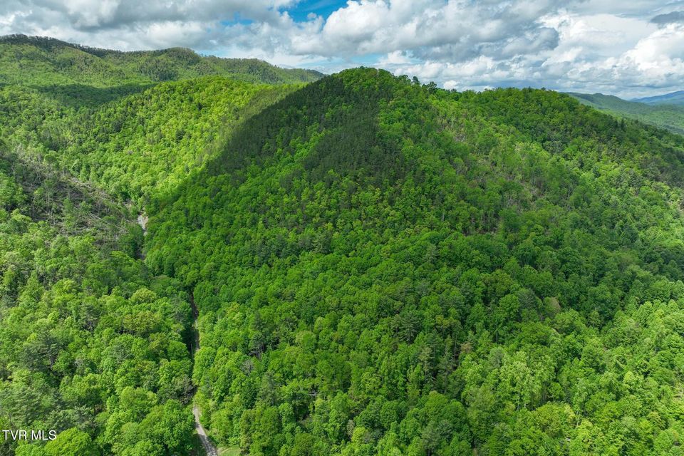 Photo #15: Tbd Fire Tower Road