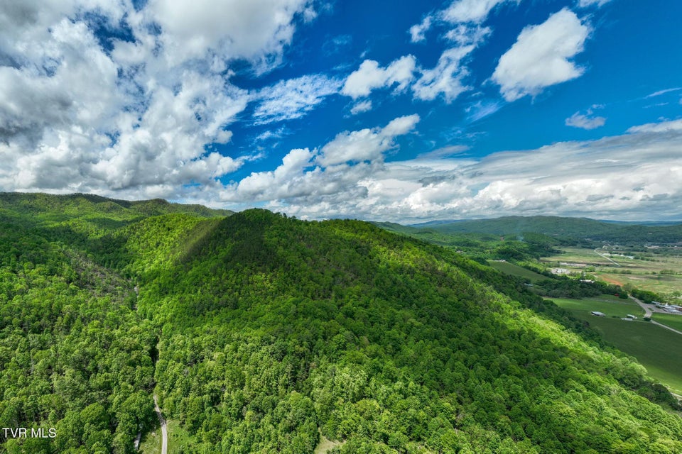 Photo #16: Tbd Fire Tower Road