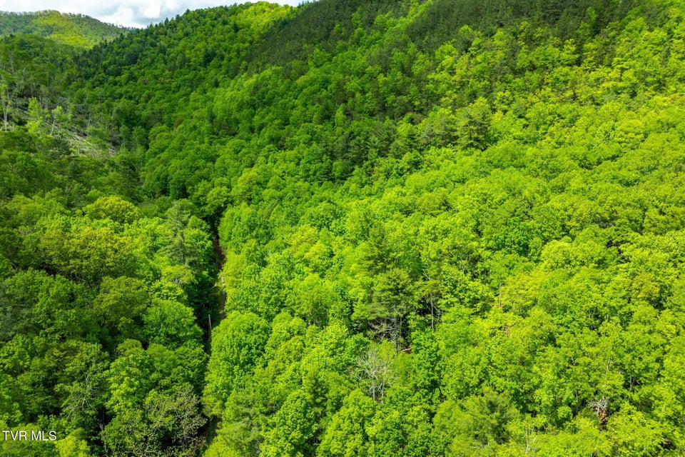 Photo #17: Tbd Fire Tower Road