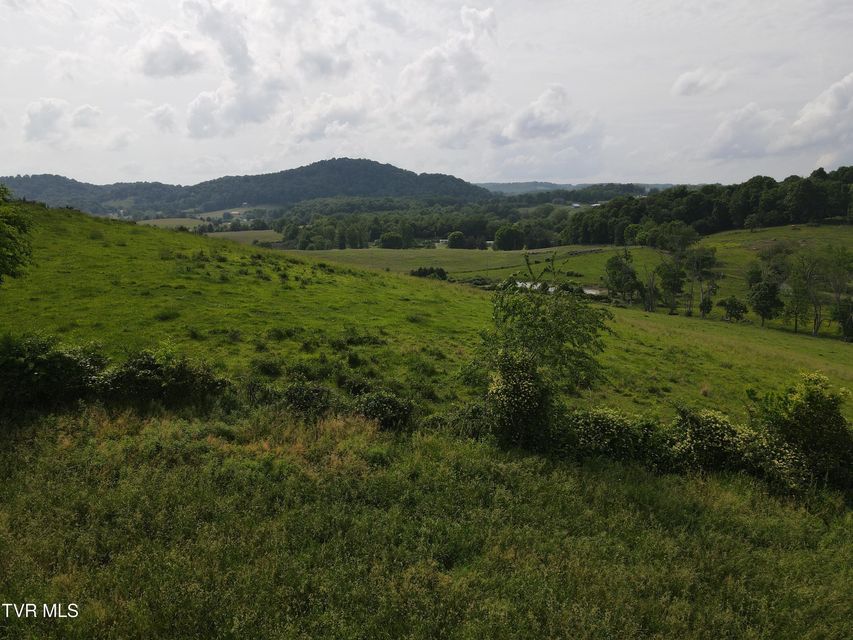 Photo #2: Tbd Hales Chapel Rd