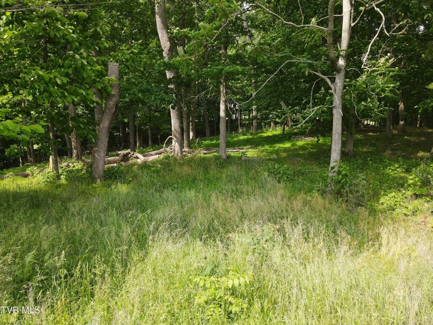 Photo #14: Tbd Hales Chapel Rd