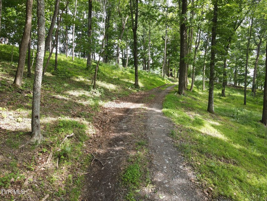 Photo #20: Tbd Hales Chapel Rd
