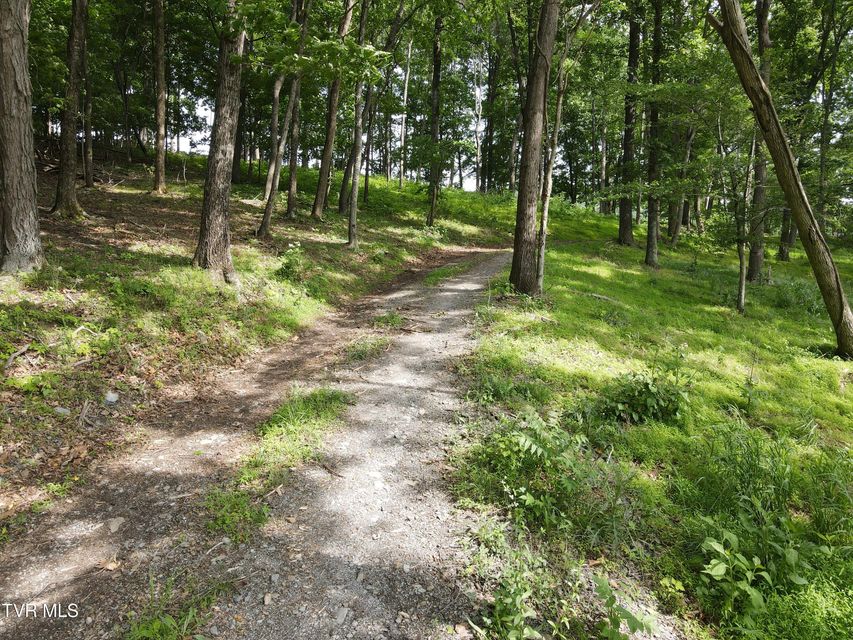 Photo #21: Tbd Hales Chapel Rd