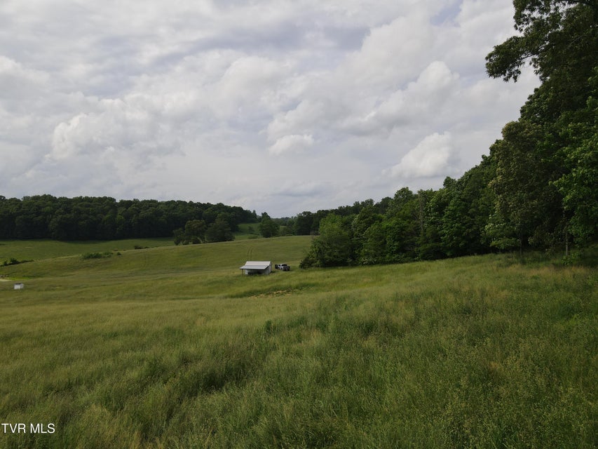 Photo #23: Tbd Hales Chapel Rd