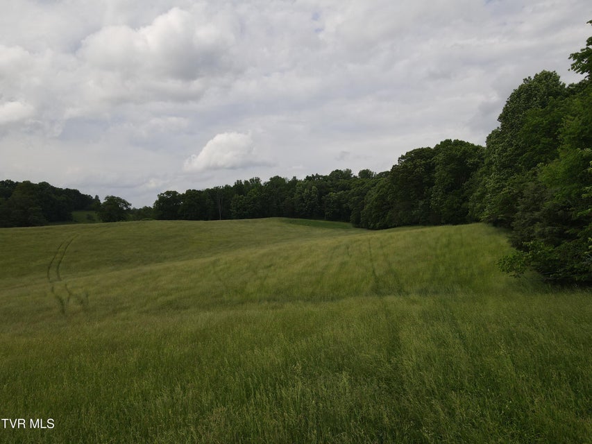 Photo #27: Tbd Hales Chapel Rd