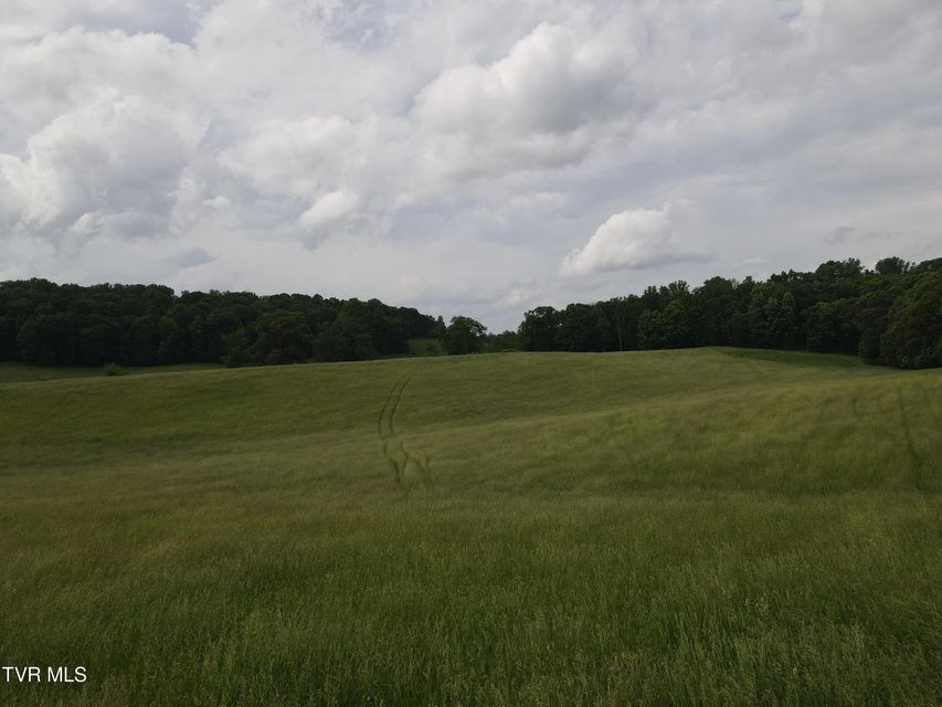 Photo #28: Tbd Hales Chapel Rd