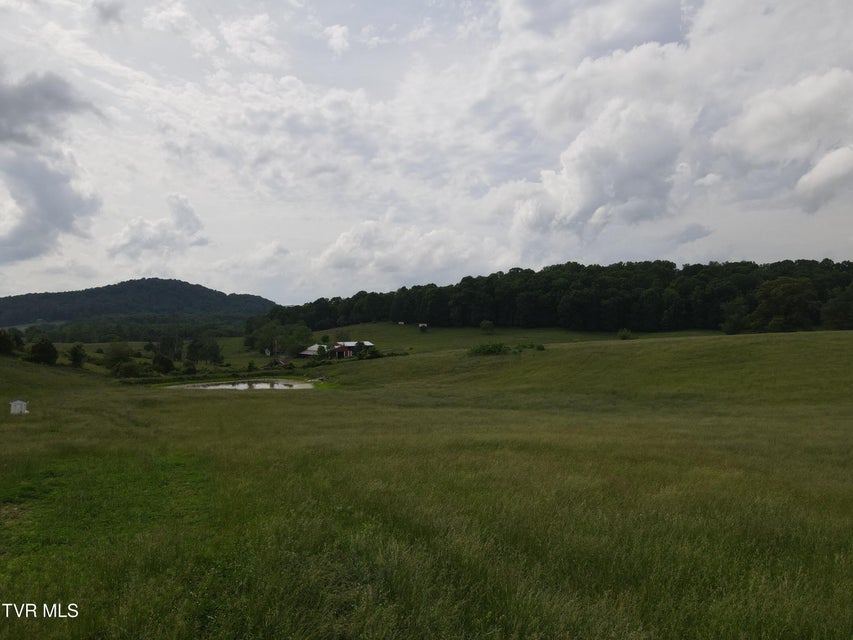 Photo #29: Tbd Hales Chapel Rd