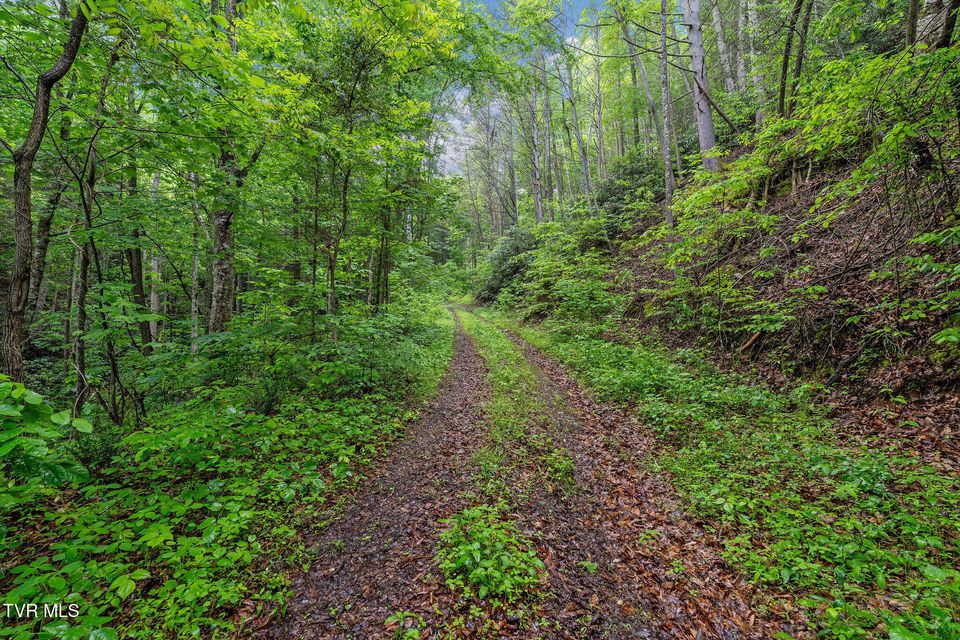 Photo #11: 2039 War Valley Road