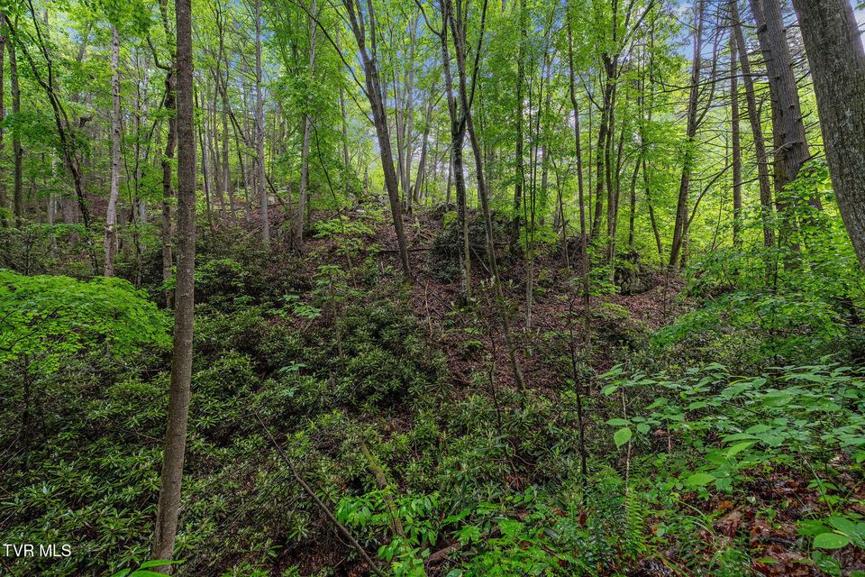 Photo #13: 2039 War Valley Road